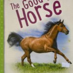 The Good Luck Horse and other horse stories