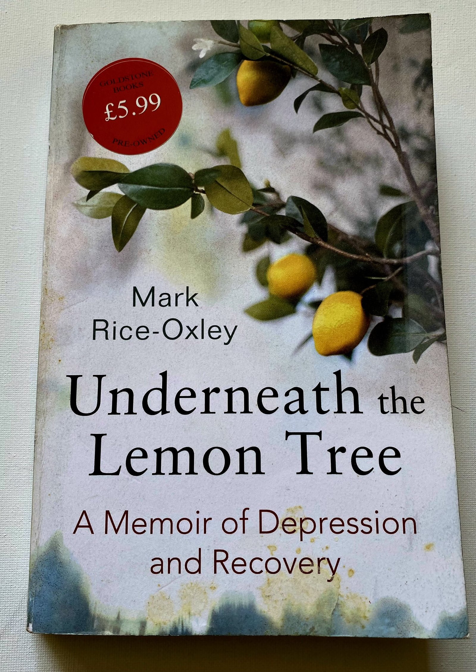 Underneath the Lemon Tree: A Memoir of Depression and Recovery