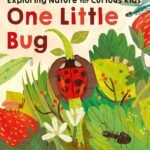 One Little Bug